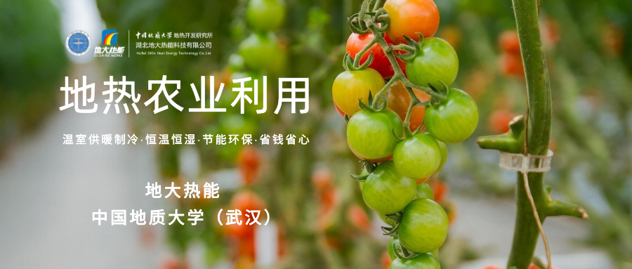 利用地熱解決糧食生產問題并促進發(fā)展-地熱資源開發(fā)利用-地大熱能 利用地熱解決糧食生產問題并促進發(fā)展-地熱資源開發(fā)利用-地大熱能